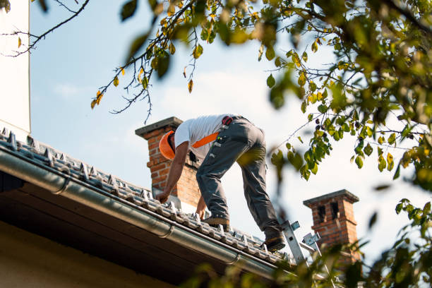 Best Roof Moss and Algae Removal  in Easton, MD
