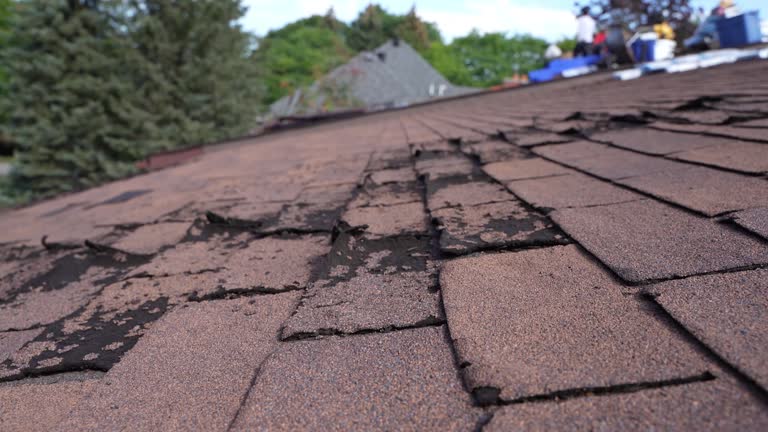 Best Solar Panel Roofing Installation  in Easton, MD
