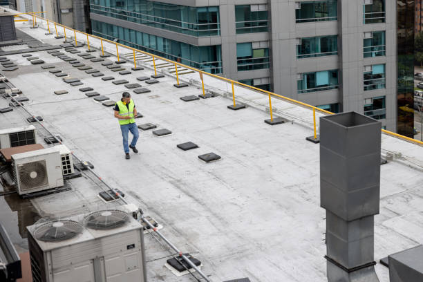 Best Storm Damage Roof Repair  in Easton, MD